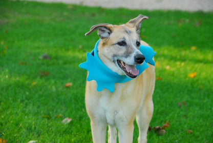 Seahorse Scarf by Sly + Tiny for Webster Street
