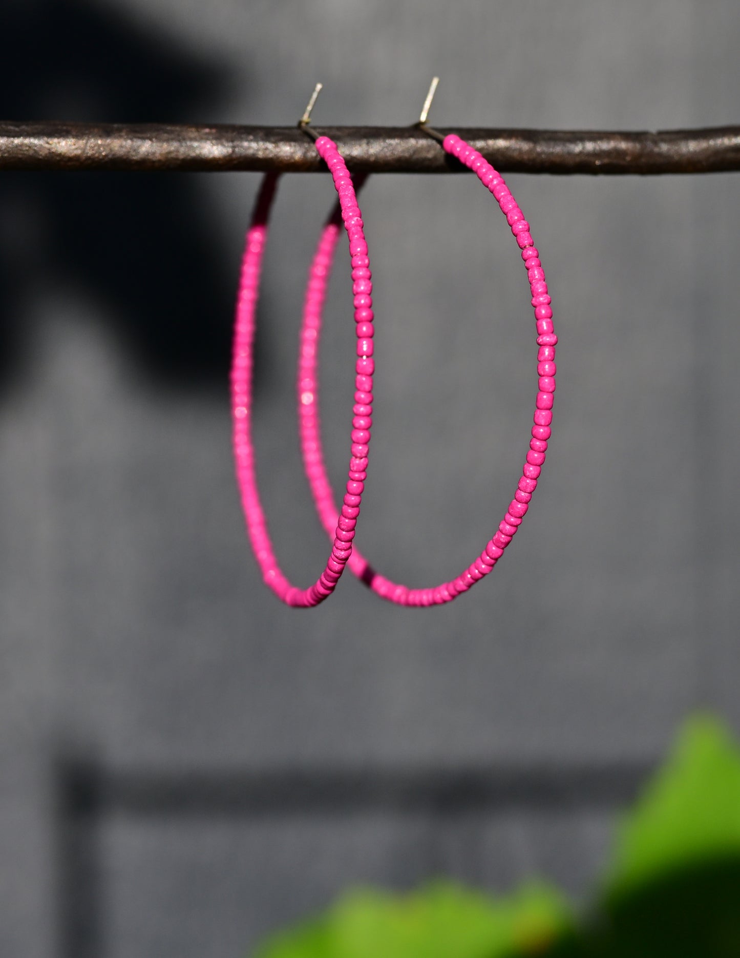 Pink hoop earrings hanging on a branch with a blurred background
